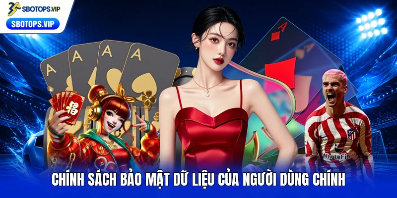 Chính sách bảo mật dữ liệu của người dùng chính