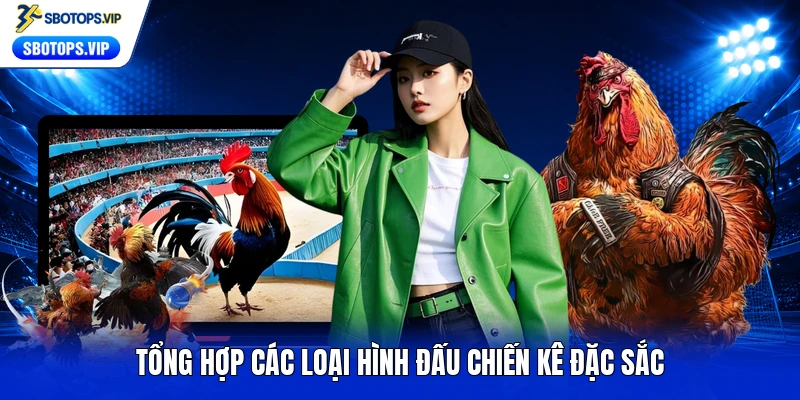 Tổng hợp các loại hình đấu chiến kê đặc sắc